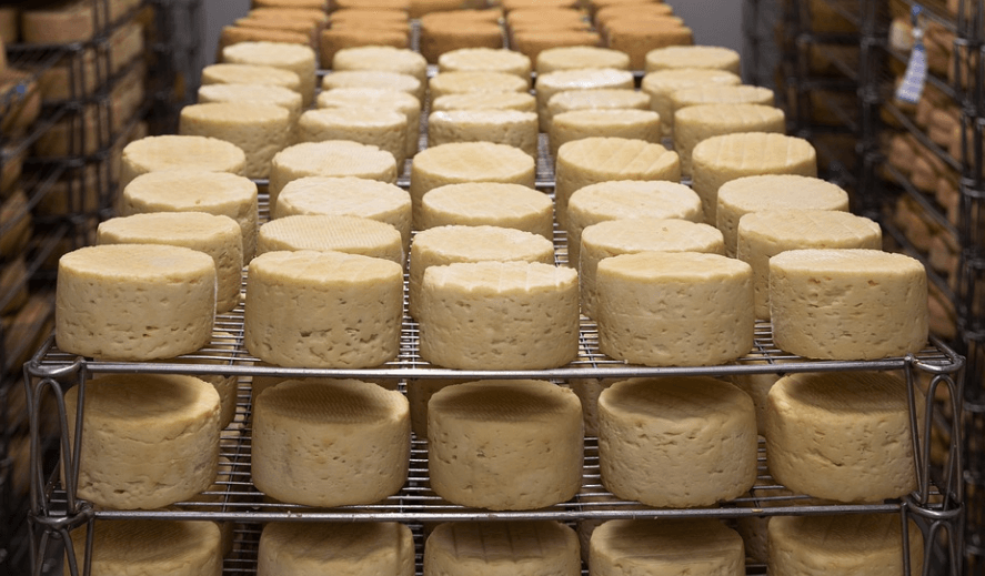 방귀가 많이 나오는 이유가 되는 치즈