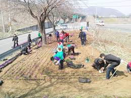 제 14회 밀양 삼랑진 딸기시배지 축제 기본일정과 프로그램 소개