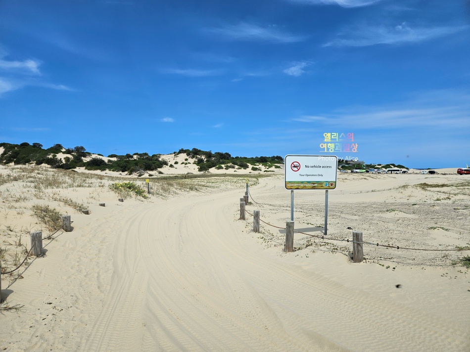호주 시드니 사막 포트스테판 투어 솔직후기 가격 코스 야생 돌고래 크루즈