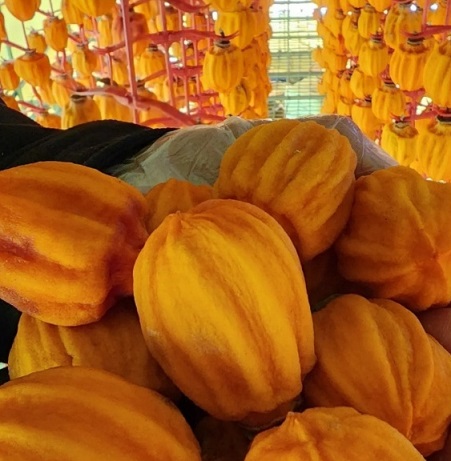 6시내고향-곶감