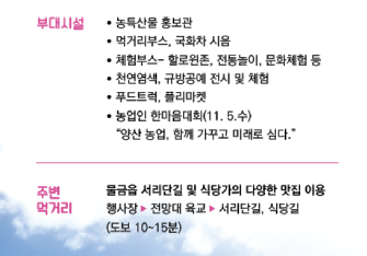 양산국화꽃 축제