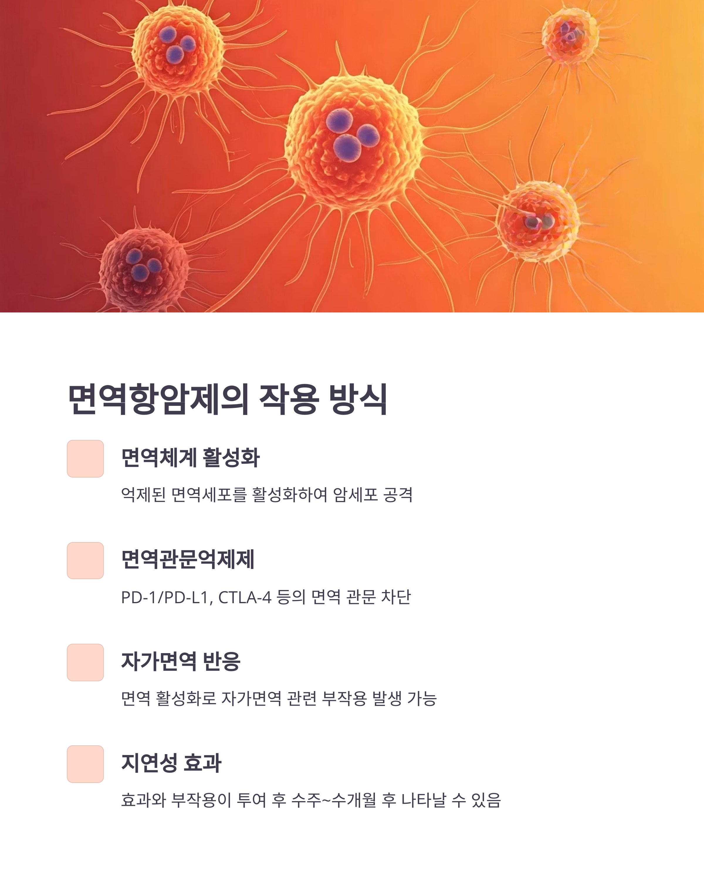 면역항암제의 작용 방식