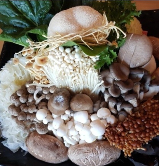 이맛에 살지 동충하초 노루궁뎅이 13가지 버섯 전골 한우 등심 버섯 샤부샤부 경기 광주 퇴촌 맛집 추천
