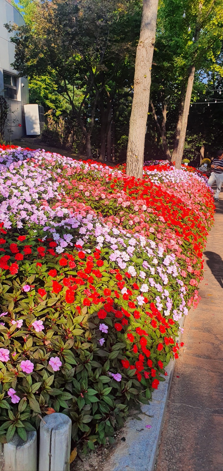 2026 수능 일정표