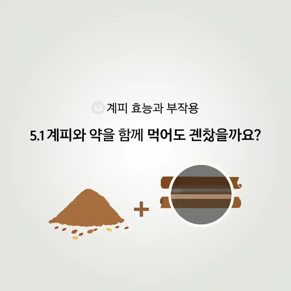 계피 효능 부작용 섹션: 계피와 약물 상호작용 주의사항 이미지.
