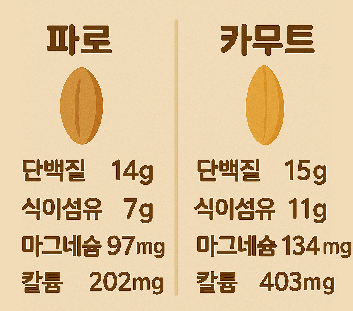 파로 vs 카무트