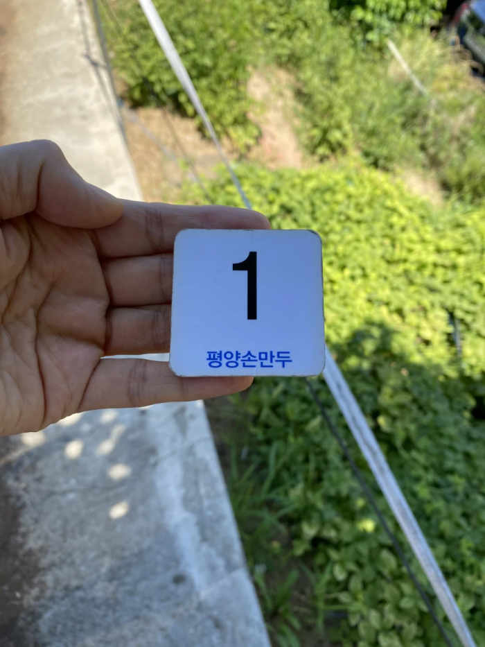 일산-맛집-평양손만두-소개-이미지