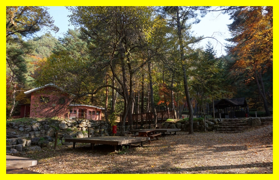 국립자연휴양림 예약&amp;#44; 국립자연휴양림 예약 성수기 추첨&amp;#44; 국립자연휴양림 추첨&amp;#44; 국립자연휴양림 성수기 추첨