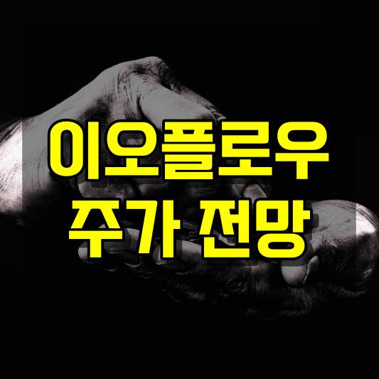 이오플로우 주가 전망