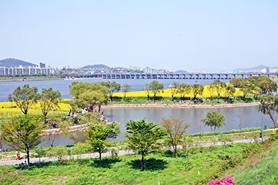 서래섬과 수변길