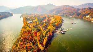 남이섬 단풍 절정시기