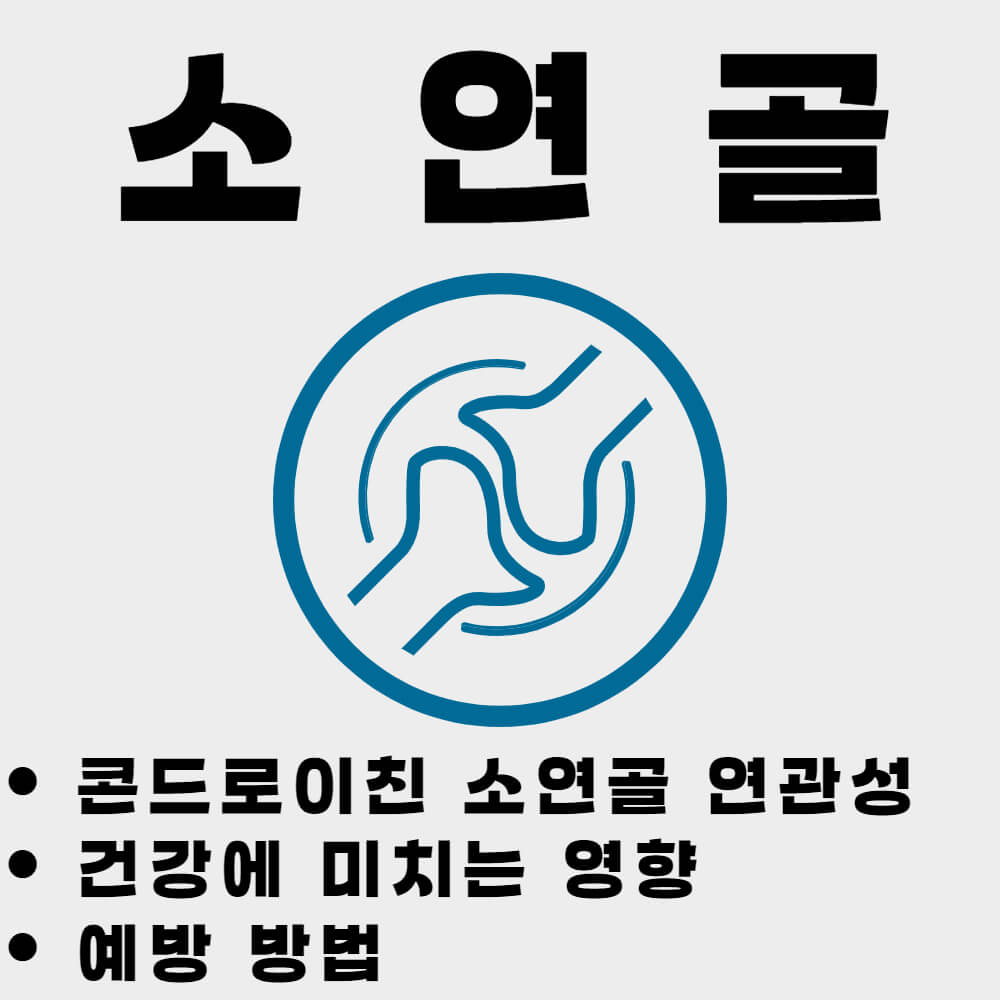 콘드로이친 소연골 연관성, 건강에 미치는 영향과 예방 방법