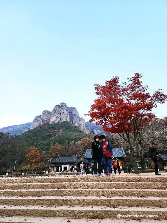 청송 주왕산 여행 코스 폭포 산책 주차 가을 단풍 포인트_17