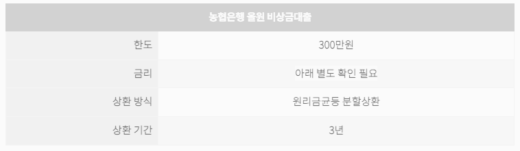 농협 올원 비상금대출