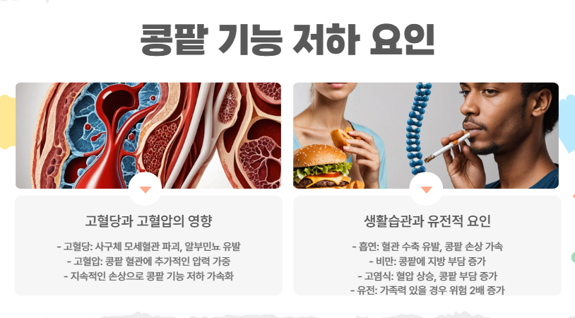 콩팥 기능 저하 요인