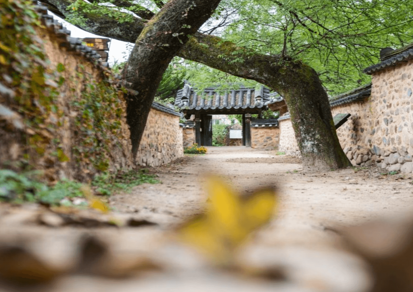 지리산 인생샷 포토존 소개 및 명소 추천