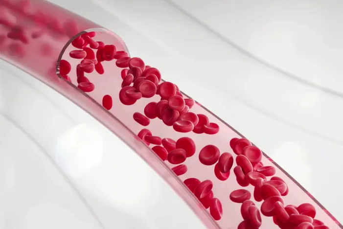 맨즈핏 혈행핏 후기