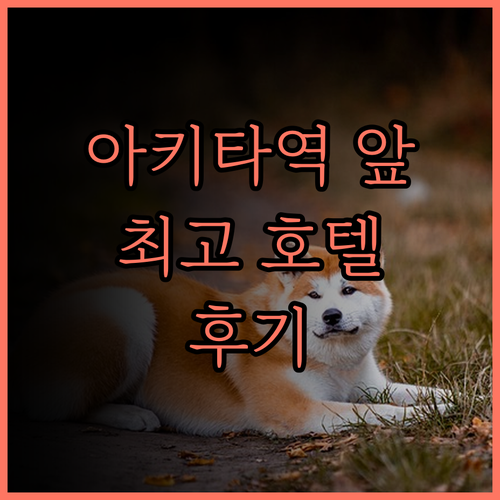 호텔 메트로폴리탄 아키타 완벽 분석 