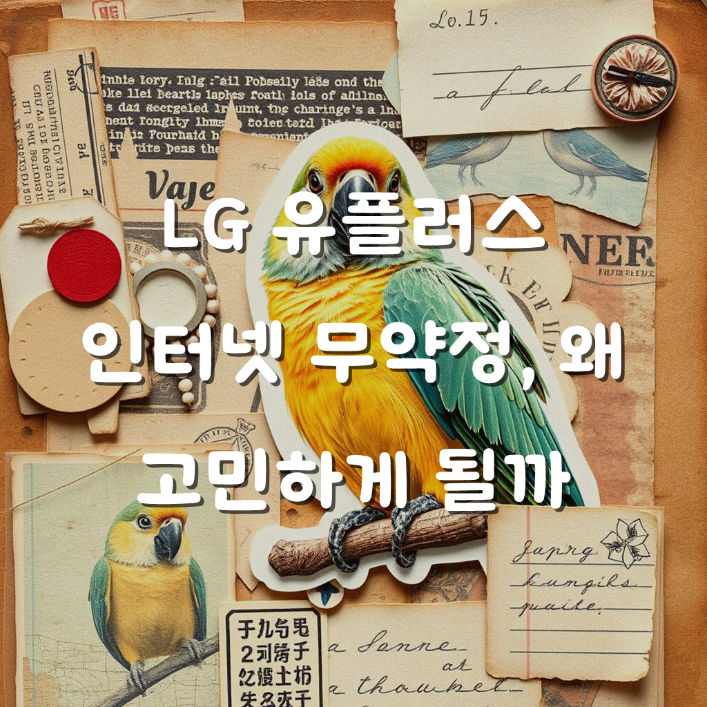 LG 유플러스 인터넷, 무약정 선택 고민되시나요
