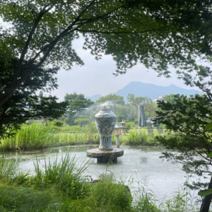 세미원 연꽃문화제