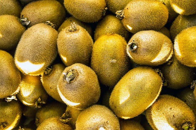 제스프리 골드 키위 효능 5가지! 간편 레시피 꿀팁까지 총정리