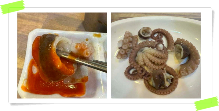 전현무계획2 영광 덕자뱃살회 덕자조림 후기