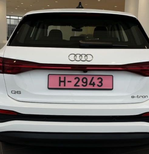 핑크색 번호판 정체? 다자녀 차량 특별 혜택 도입 가능성 문제점 총정리 1