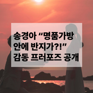 송경아 프러포즈 공개