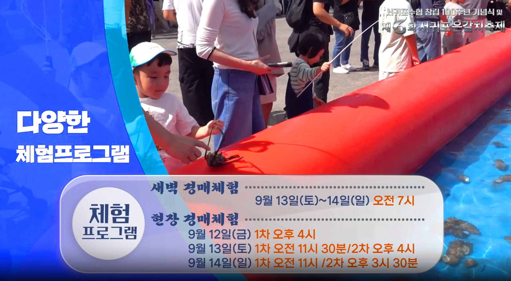 제주 서귀포 은갈치 축제