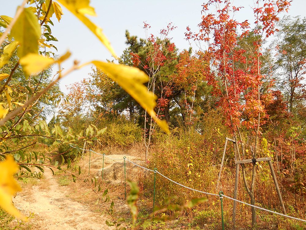 서대문구 홍제동 고은산(Goeunsan Mountain) 착한어린이