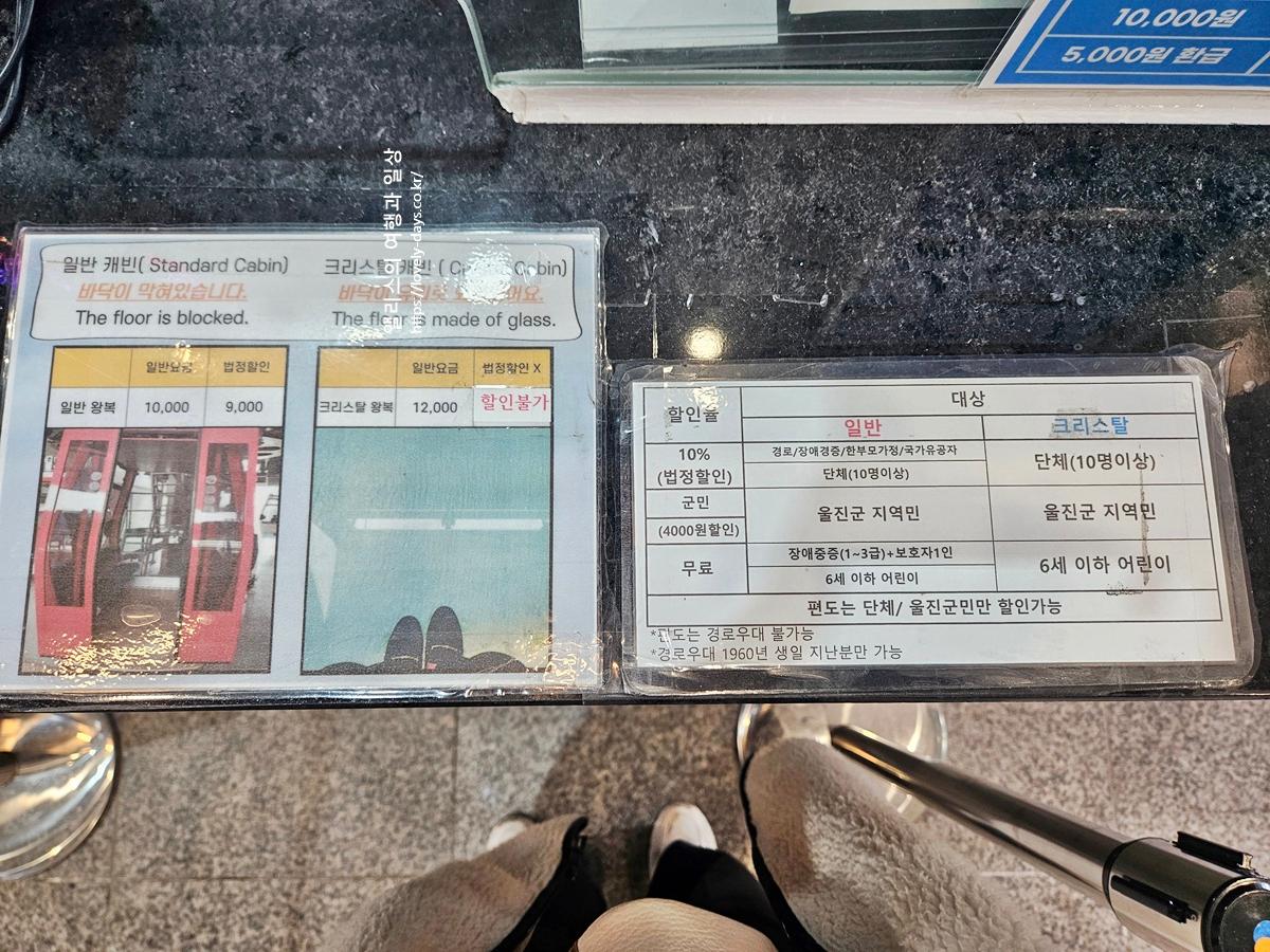 왕피천 케이블카 예약 가격 환급방법 탑승 후기 산책길 가볼만한곳