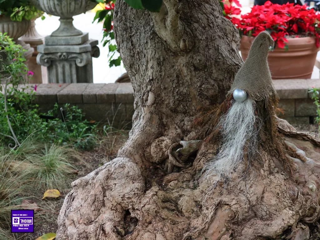 서울식물원 온실 내부 포토존 느낌