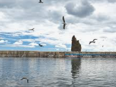 울릉도 배편시간표