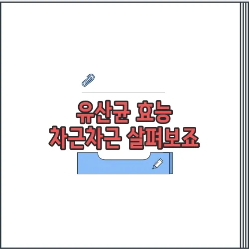 유산균 효능 차근차근 살펴보죠