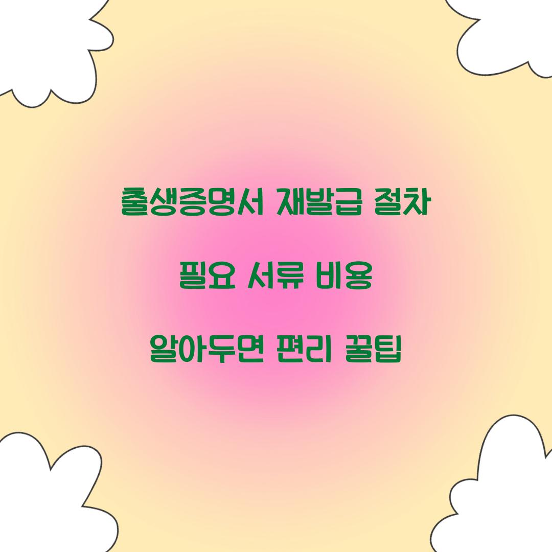 출생증명서 재발급