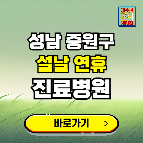 성남시 중원구 설날 연휴 진료병원 찾기 ❘ 24시 응급 야간 심야 문여는 병원