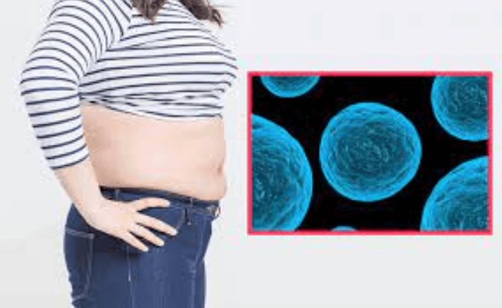 락토바실러스-플란타럼-LB931-유산균-사진