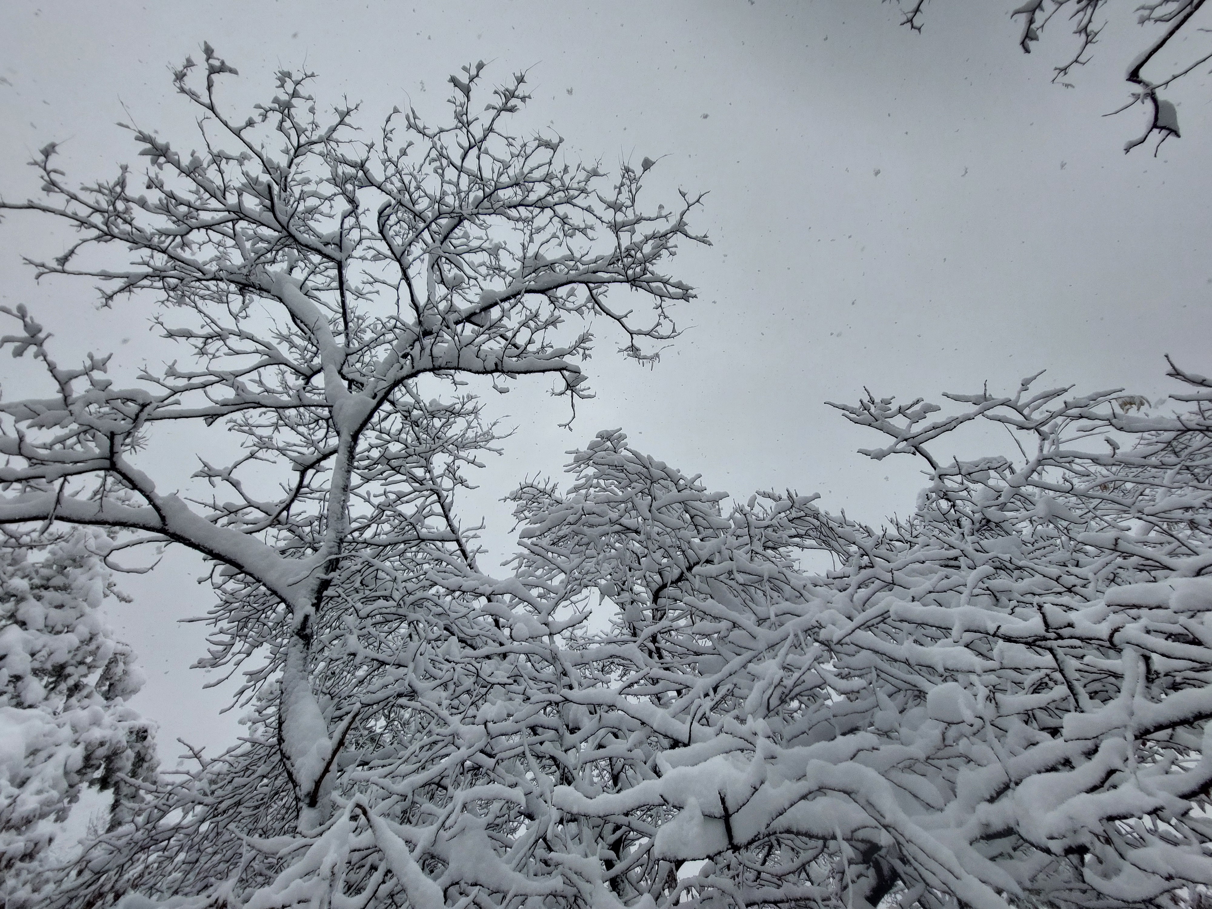백련산안산
