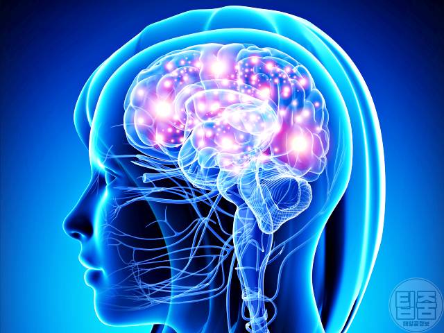 치매 안걸리는 방법 뇌위축 치매예방 혀운동 효과