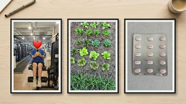 스포츠센터, 텃밭, 여성호르몬