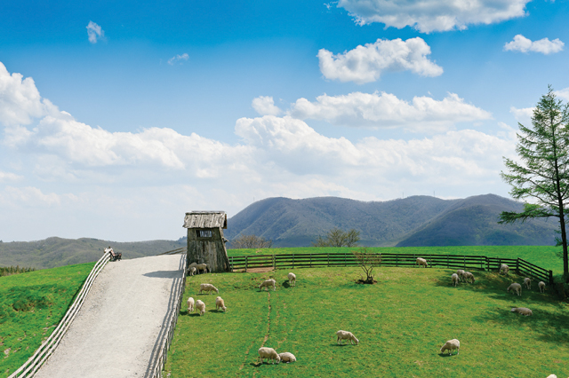 평창 가볼만한곳