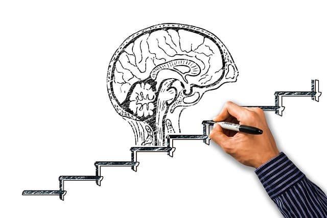 경력단절 여성을 위한 직업훈련 지원사업 소개