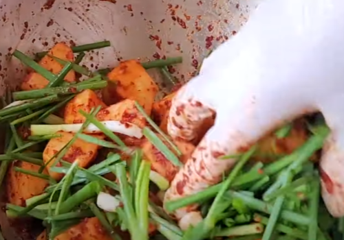 사과 깍두기 만드는 방법