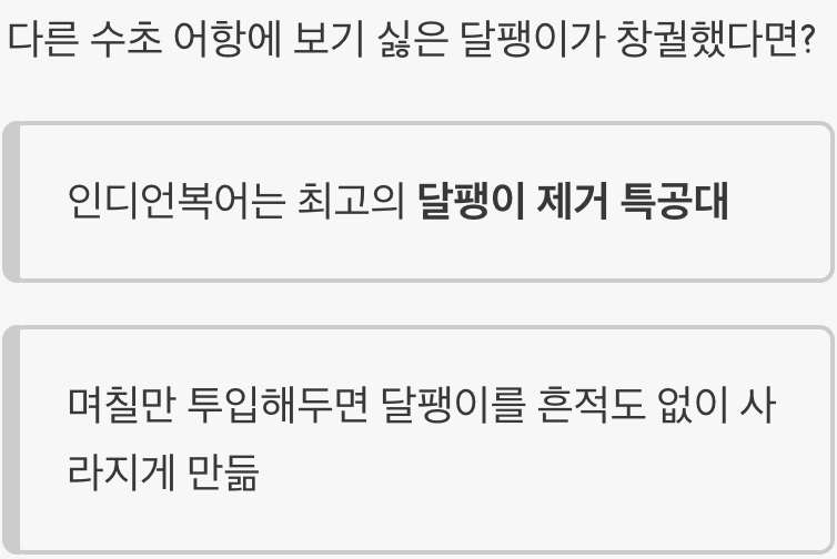 &amp;#39;달팽이 특공대&amp;#39;로 활용하기