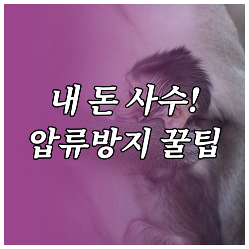 압류방지 전용계좌 체크카드 발급 방법..