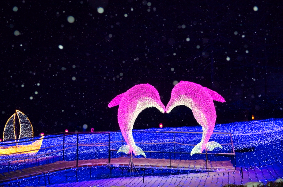 오색별빛정원전