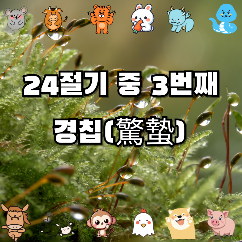 경칩(驚蟄) ❘ 겨울잠에서 깨어나는 봄의 절기 🐸 24절기 이야기