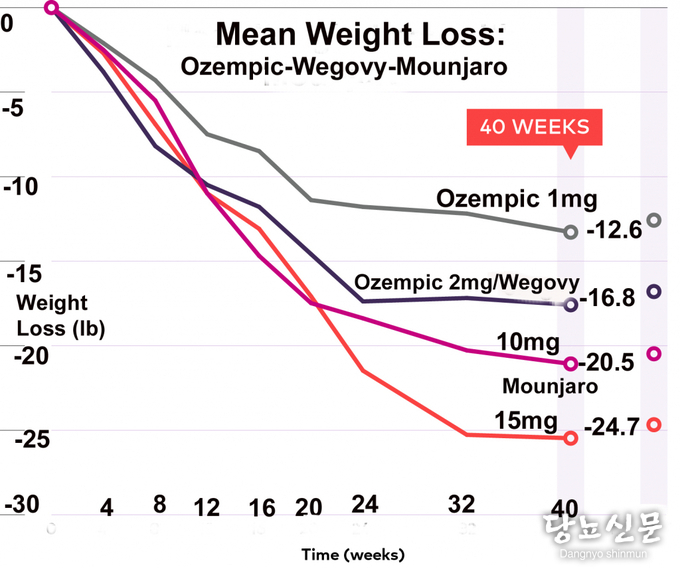 마운자로 다이어트 효과와 부작용 그리고 체중 감량 유지 위한 현실적인 기대치 총정리