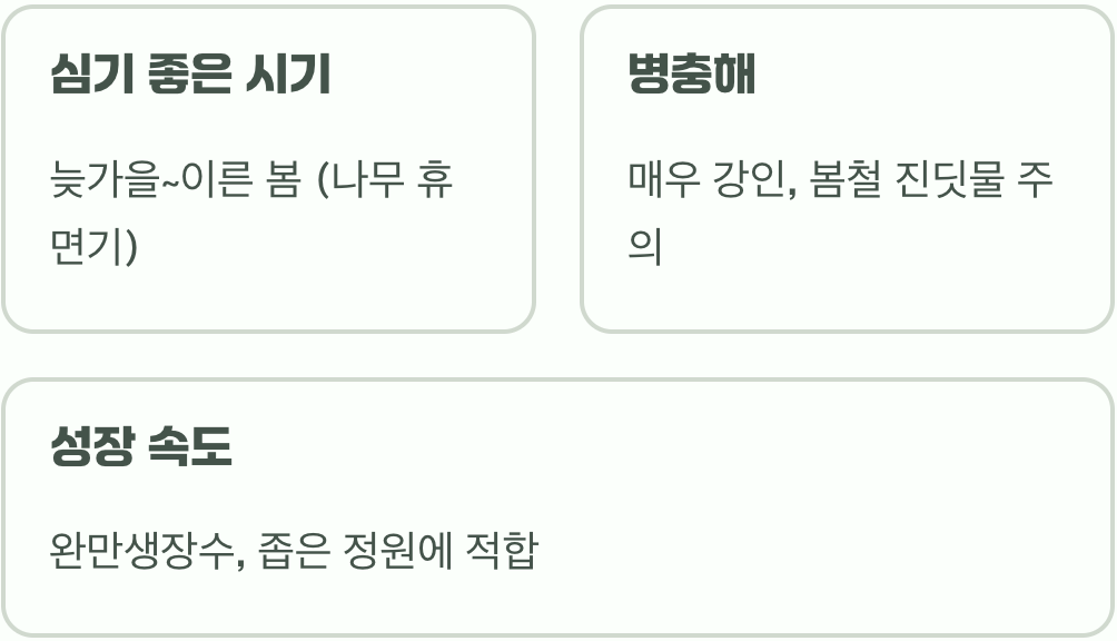 약나무 마가목 묘목, 정원에서 키우기 A to Z