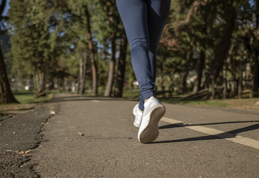 마이오카인 분비운동 비교 관련 이미지